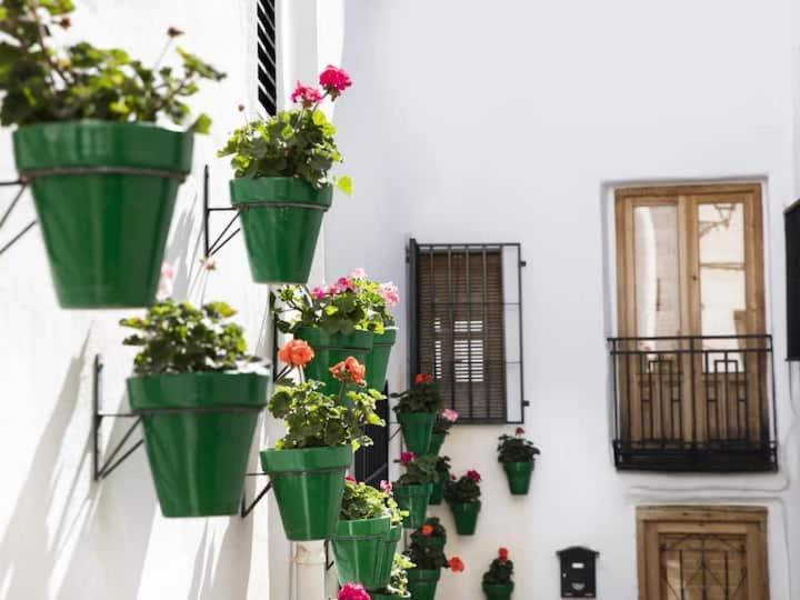 Apartamento En El Corazon De Las Alpujarras Каратаунас Экстерьер фото